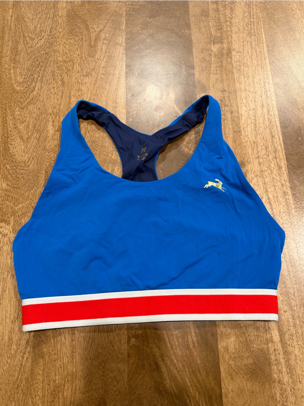 Tracksmith Blue sports bra